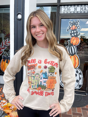 Preorder(Choose Your Town & Zip Code) Fall Is Better In A Small Town Soft Unisex Sweatshirt