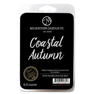 Coastal Autumn Large Fragrance Melt