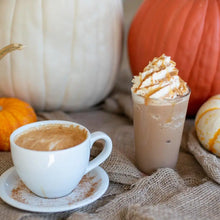 Load image into Gallery viewer, Pumpkin Spice Cafe Mocha 8oz Can