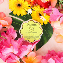 Load image into Gallery viewer, Coconut Verbena Daisy Spongette