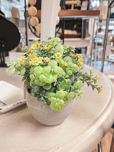 Artificial Flowers in Planter- 3 Color Options