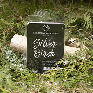 Silver Birch Large Fragrance Melt