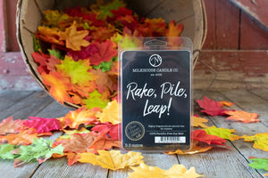 Rake, Pile, Leap! Large Fragrance Melt