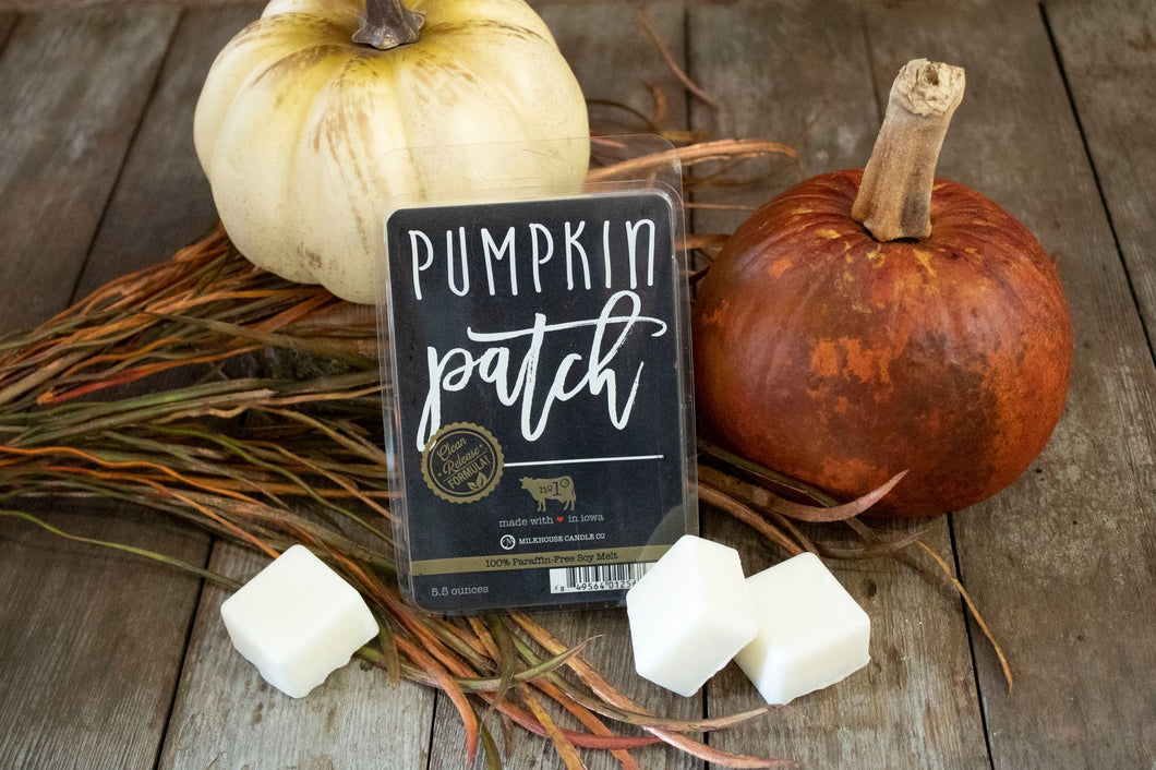 Pumpkin Patch Fragrance Melt